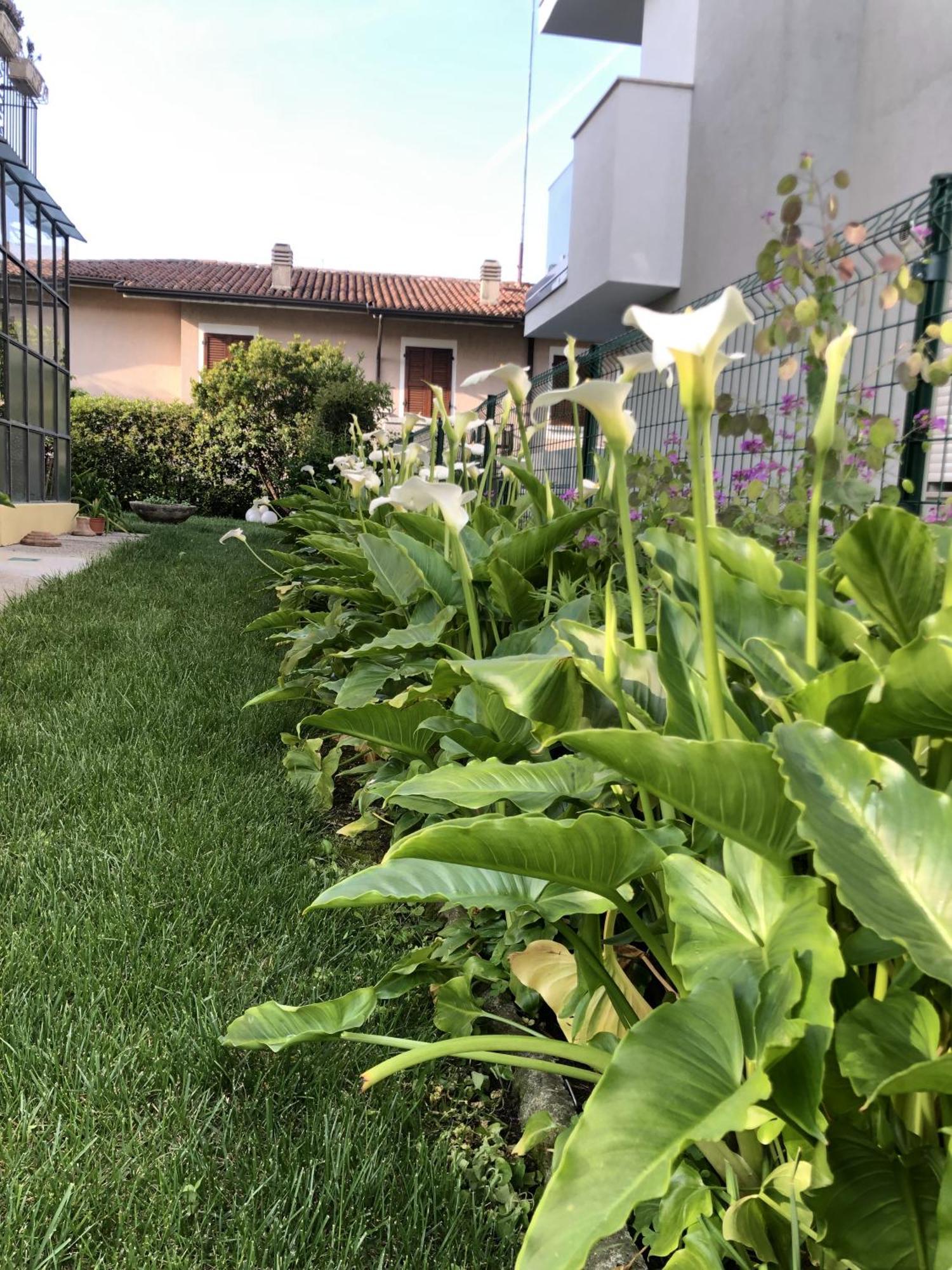Casa Sivori Sul Lago Di Garda Con Ampio Giardino เดเซนซาโนเดลการ์ดา ภายนอก รูปภาพ