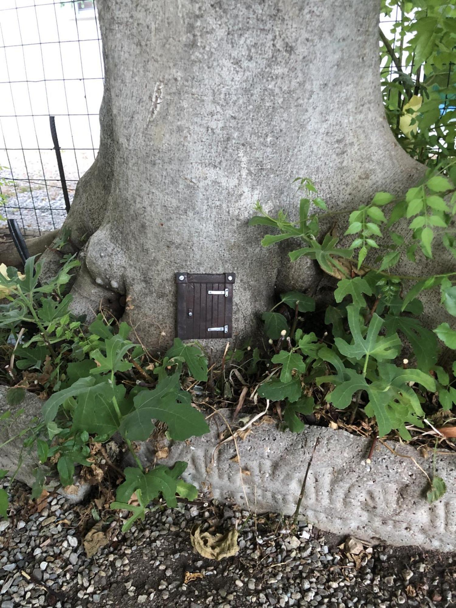 Casa Sivori Sul Lago Di Garda Con Ampio Giardino เดเซนซาโนเดลการ์ดา ภายนอก รูปภาพ