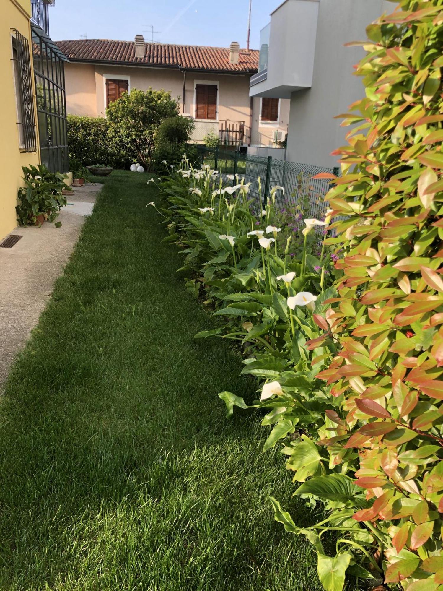 Casa Sivori Sul Lago Di Garda Con Ampio Giardino เดเซนซาโนเดลการ์ดา ภายนอก รูปภาพ
